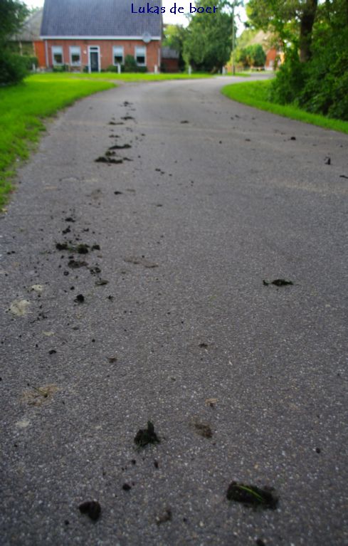 tour (59).jpg - Stront door het dorp